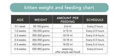 an info sheet showing the weight and feeding chart for kittens