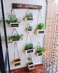 several hanging planters with plants on them