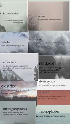 many different types of clouds and trees with the words above them in multiple languages,