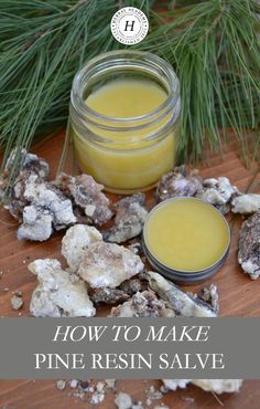 How To Make Pine Resin Salve | Herbal Academy | Did you know pine resin has been used historically for topical wound care? Learn how to make pine resin salve for your first aid kit! Headache Salve, Natural Soaps, Wound Care, Eco Living