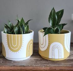 two potted plants sitting on top of a wooden table next to each other,