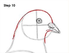 a drawing of a bird with the words step 10 written in red on it's face