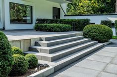 a house with steps leading up to the front door and trees in the back yard