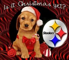 a brown dog wearing a santa hat and sitting next to a pittsburgh football christmas ornament