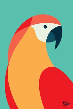 Abstract parrot illustration created from shapes filled with complementary colours. Colours: mint, red, orange, white & dark blue. Digital Art Friends, Art Videos Tik Tok, Videos Tik Tok, Beautiful Acrylic Painting, Parrot Art, Parrots Art, Simple Canvas Paintings, Small Canvas Art