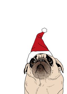 a pug dog wearing a santa hat