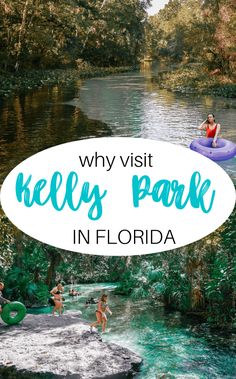 people swimming in the river with text overlay that reads why visit kellys park in florida