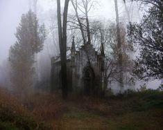 an old abandoned building in the woods on a foggy day