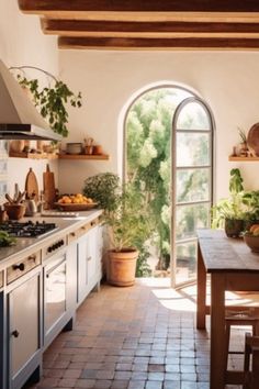 a kitchen with an arched doorway leading into the dining room and living area, as well as potted plants