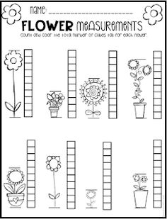 flower measurement worksheet with flowers and plants in the bottom left hand corner,