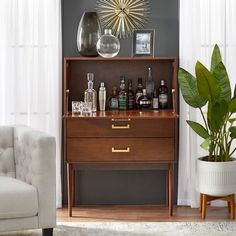 a living room filled with furniture and a potted plant