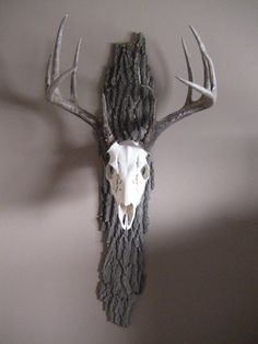 a deer's head mounted on the side of a wall with antlers attached to it