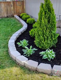 a small garden with some plants in the middle and grass on the ground next to it