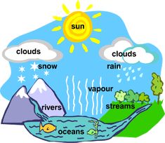 an image of the water cycle with clouds, rain, and rivers in different colors