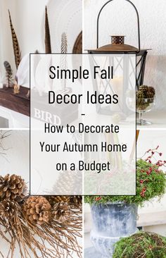 simple fall decor ideas to decorate your autumn home on a budget