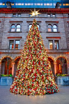 a large christmas tree in front of a building