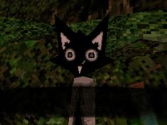 an animated black cat standing in the middle of a forest with green grass and rocks