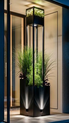 two tall black planters with plants in them