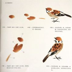 three different kinds of birds are shown in chinese