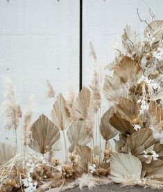 an arrangement of dried flowers and leaves in front of a white wall