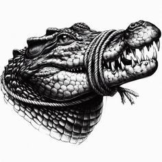 a drawing of an alligator's head with its mouth open