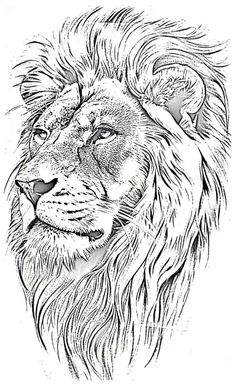 a black and white drawing of a lion