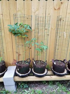 several pots with plants growing in them on a wooden bench next to a wood fence