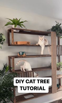 a cat sitting on top of a wooden shelf next to a potted plant in a living room