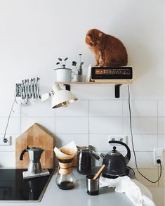 a cat sitting on top of a shelf above a stove