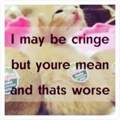 a cat laying on top of a teddy bear with the caption i may be cringe but you're mean and thats worse