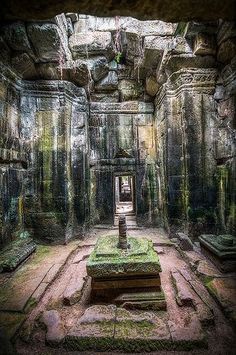 the inside of an ancient building with stone carvings and moss growing on the walls,