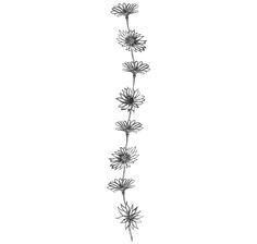 a black and white photo of some flowers