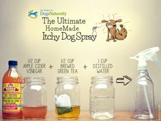 an ad for the ultimate home made lucky dog spray is shown in this screenshot