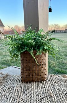 a plant in a woven basket sitting on a table