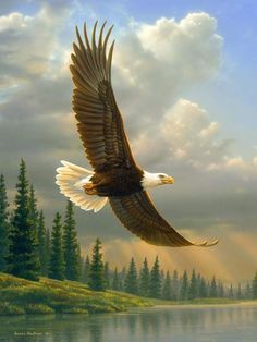 an eagle flying over a lake with trees and clouds in the background, while sun beams shine through the clouds