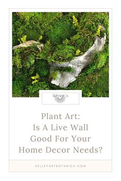 the words plant art is a live wall good for your home decor needs?