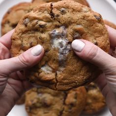 a person holding a chocolate chip cookie in their hands