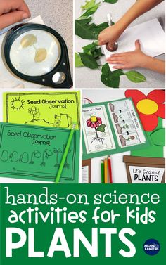 hands on science activities for kids plants