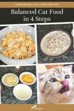 Balanced Cat Food in 4 Steps