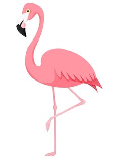 a pink flamingo standing on one leg and looking to the side with its head turned