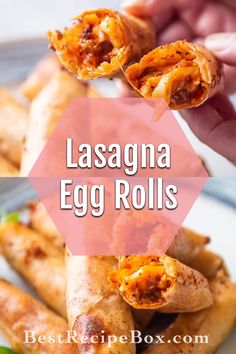 lasagna egg rolls are an easy appetizer that is ready in under 30 minutes