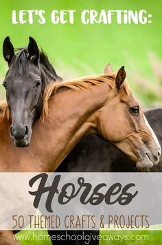 two horses standing next to each other with the words, let's get crafting