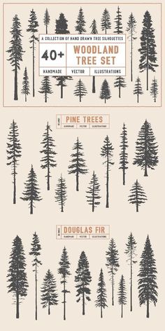 the poster shows different types of trees