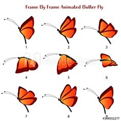 how to draw a butterfly step by step for kids and beginners with easy instructions