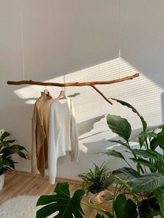 some clothes hanging on a t - shirt rack in a room with potted plants