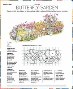 a garden plan with lots of different plants and flowers in it, including the name butterfly garden