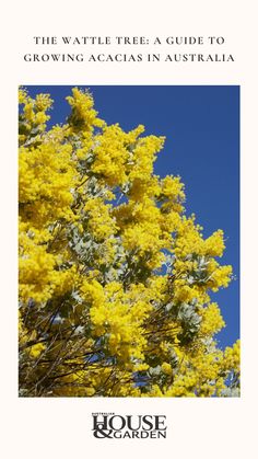 a tree with yellow flowers on it and the words house garden written in front of it