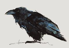 a drawing of a black bird sitting on top of a table