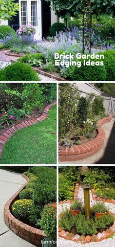 four pictures of different types of plants and flowers in the garden, with text overlay that reads brick garden bedding ideas