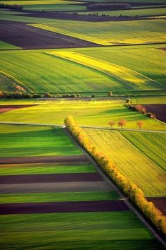 an aerial view of green and yellow fields